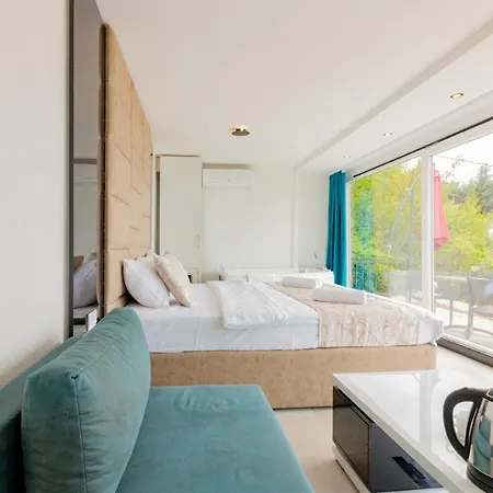 Apartment Velestovo House